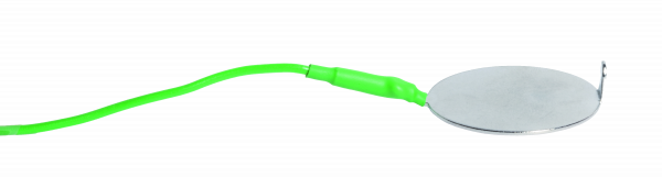 Adobe Express 2025-11-24 17.51.56